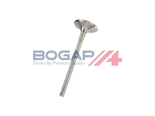 Intake Valve (A1352100)