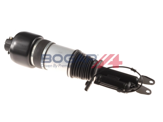 Air Suspension Strut (C3410107)