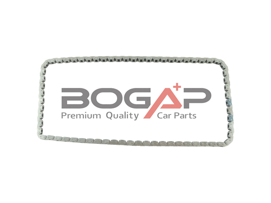 Timing Chain (F1310101)