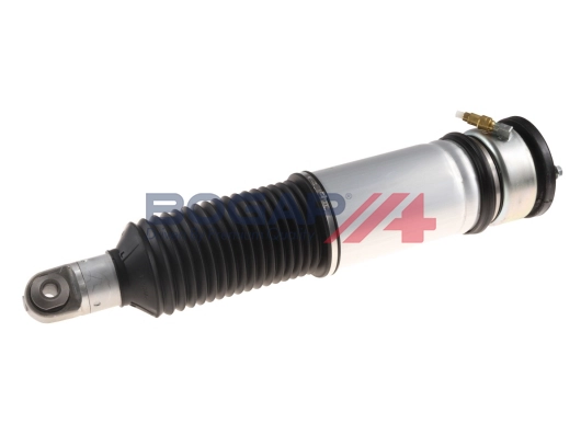 Air Suspension Strut (B3426124)