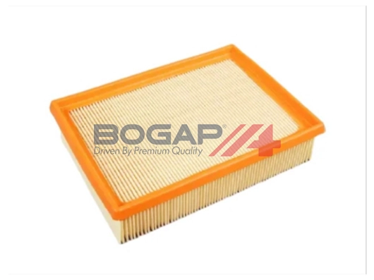 Air Filter (B8111102)