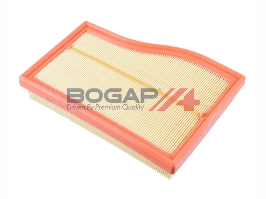 Air Filter (C8111176)