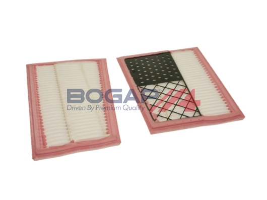 Air Filter (C8111116)