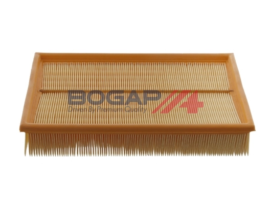 Air Filter (C8111110)