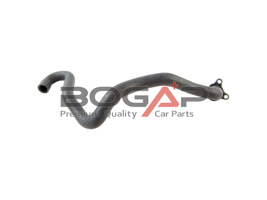 Radiator Hose (B4228239)