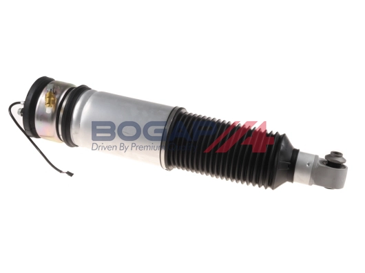 Air Suspension Strut (B3426122)