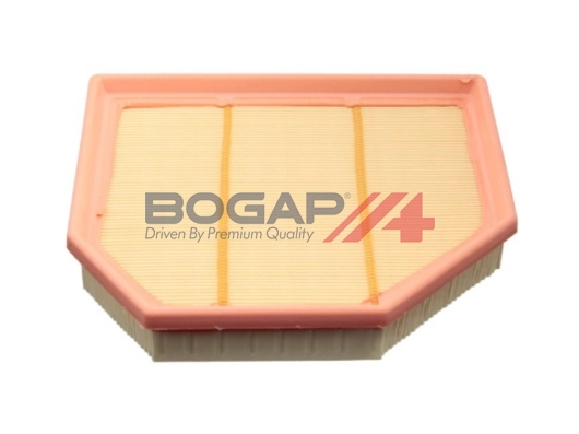 Air Filter (B8111150)