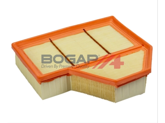 Air Filter (B8111118)