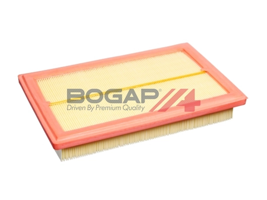 Air Filter (C8111147)