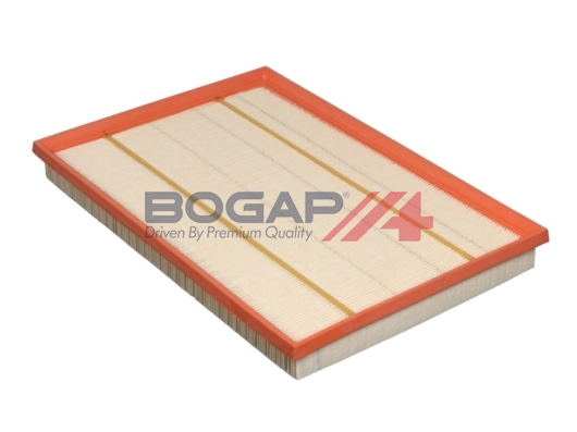 Air Filter (B8111127)
