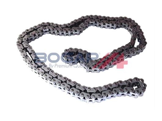 Timing Chain (A1310110)