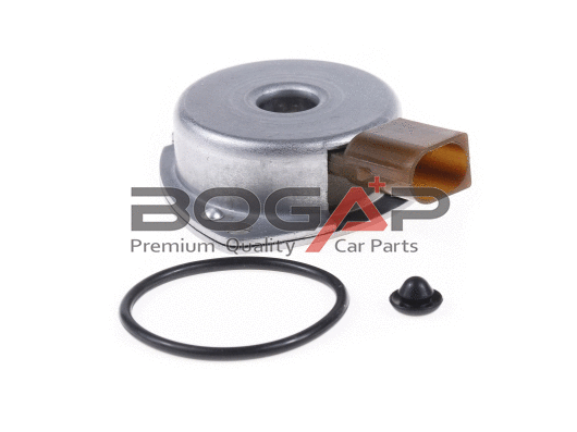 Central Magnet, camshaft adjustment (C1362100)