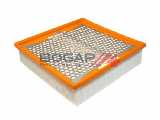 Air Filter (C8111202)