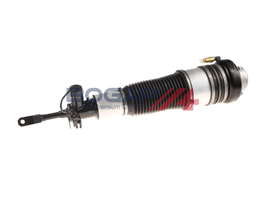 Air Suspension Strut (A3426103)