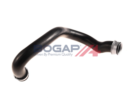 Radiator Hose (C4228182)