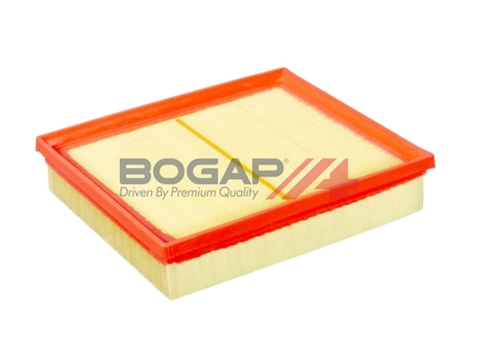 Air Filter (C8111132)