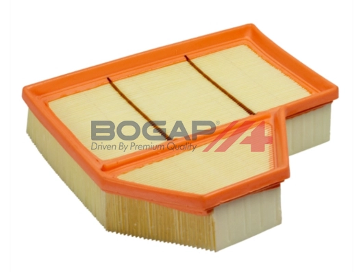 Air Filter (B8111119)