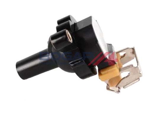 Ignition Coil (B1511116)