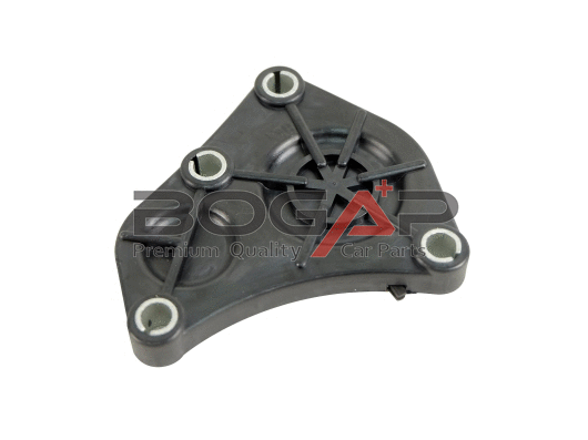 Locking Cover, camshaft (B1335100)