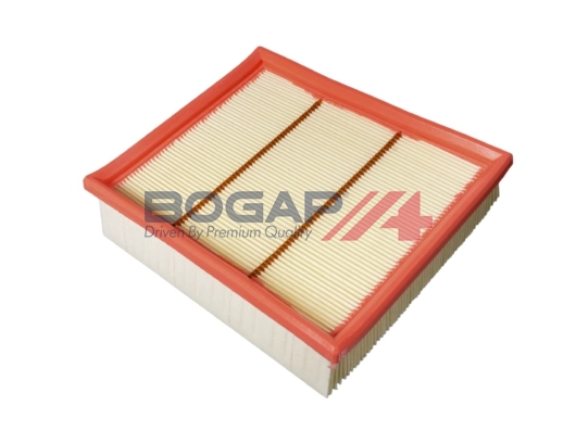 Air Filter (C8111117)