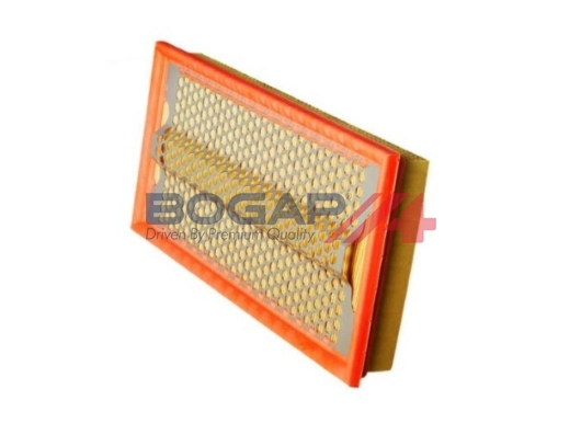 Air Filter (C8111105)
