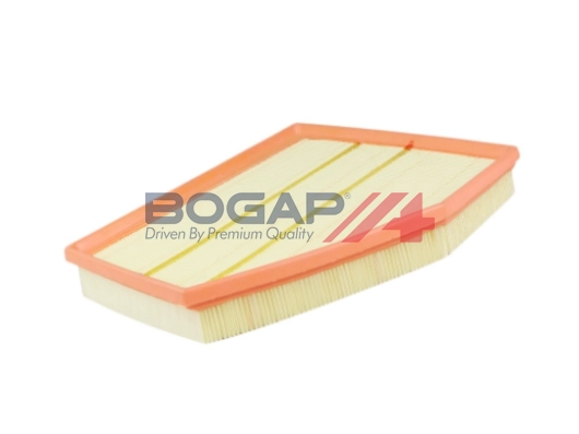 Air Filter (B8111159)