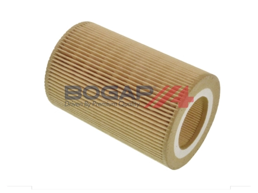 Air Filter (C8111155)
