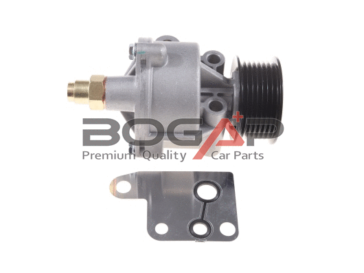 Vacuum Pump, braking system (F1916100)