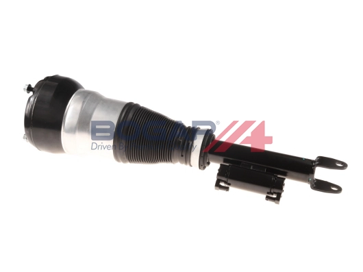 Air Suspension Strut (C3426131)