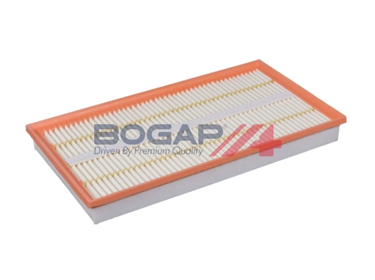 Air Filter (C8111160)