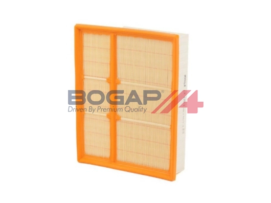 Air Filter (C8111101)