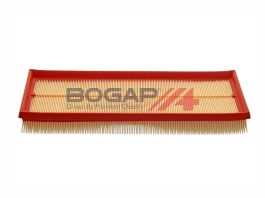 Air Filter (C8111170)