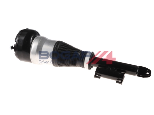 Air Suspension Strut (C3426132)