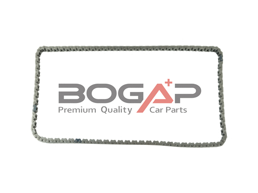 Timing Chain (Y1310100)