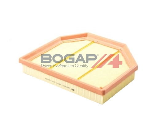 Air Filter (B8111149)