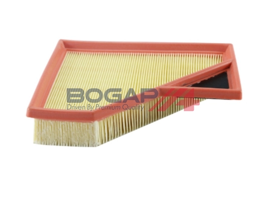 Air Filter (B8111142)