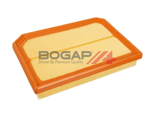 Air Filter (C8111177)