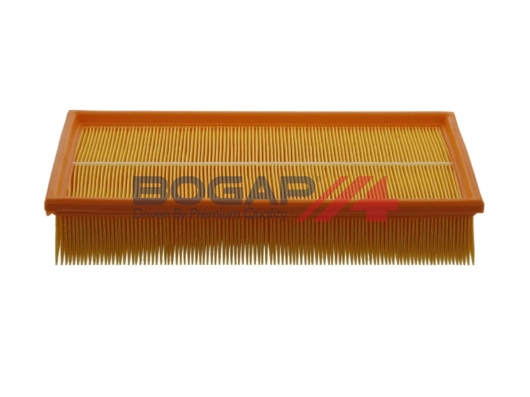 Air Filter (C8111107)