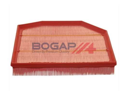 Air Filter (B8111114)