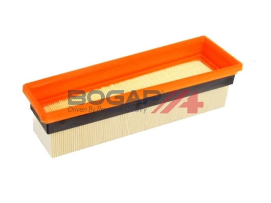 Air Filter (B8111153)