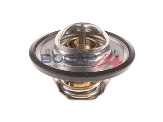 Thermostat, coolant (A4245111)