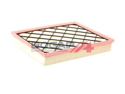 Air Filter (B8111144)