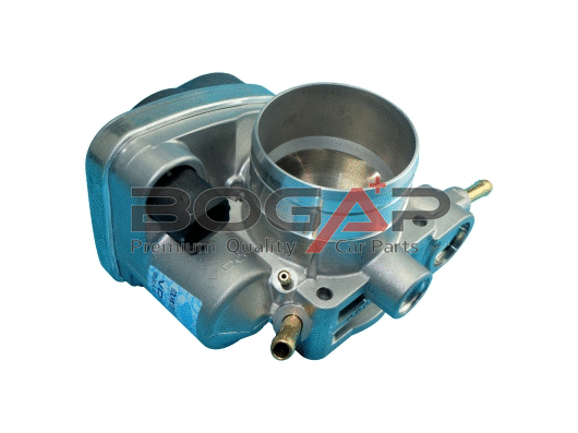 Throttle Body (A6319154)