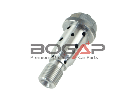 Control Valve, camshaft adjustment (C1340101)