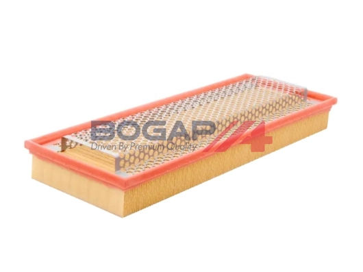 Air Filter (C8111162)