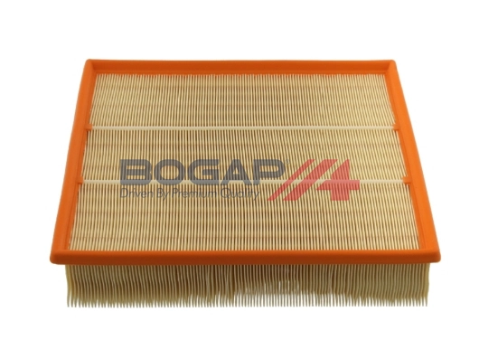 Air Filter (C8111111)