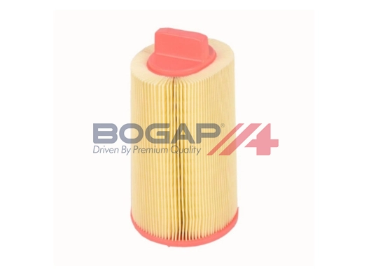 Air Filter (C8111100)