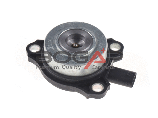 Central Magnet, camshaft adjustment (C1336144)