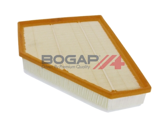 Air Filter (B8111133)