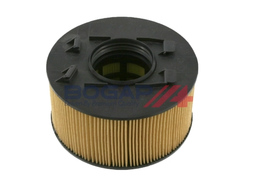 Air Filter (B8111109)